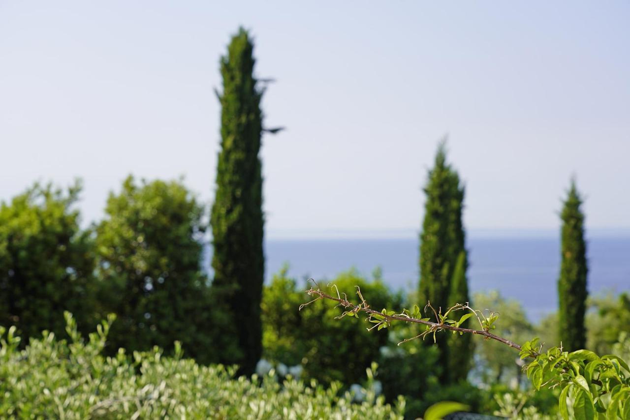 Villa Bouganville Toscolano Maderno Bagian luar foto